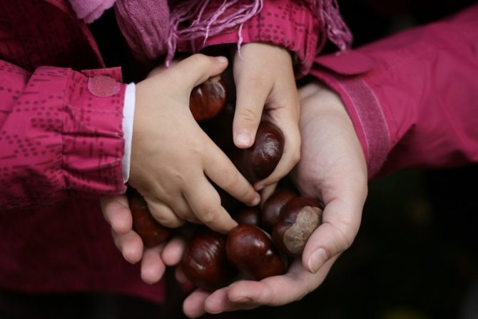 Ruperea si repararea relatiilor in parenting