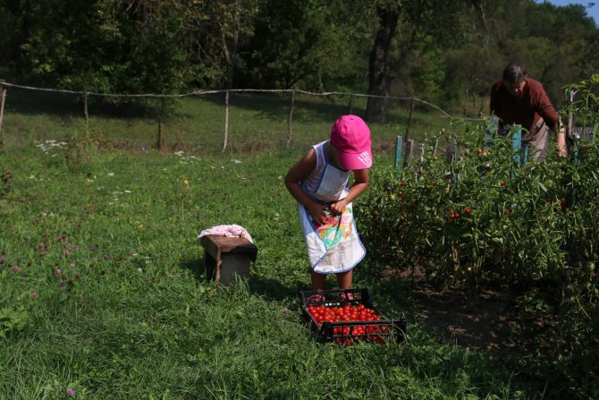 9 obiceiuri alimentare sănătoase pentru familiile cu copii