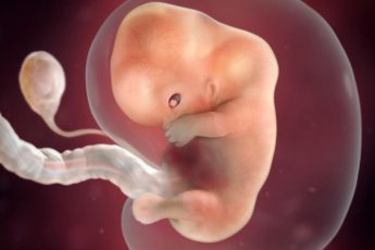 saptamana 9 de sarcina