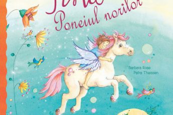 fina poneiul norilor carte acomodare gradinita