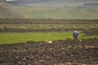 seminţe tradiţionale ecoruralis